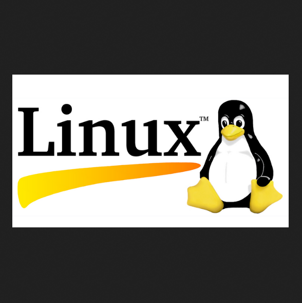在 Linux 中查看进程内存占用的方法 - 码先生的博客